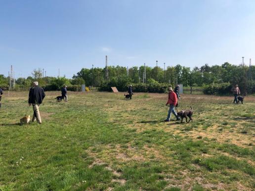 Kreistraining - Fuß gehen